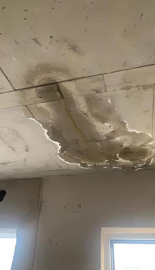 毛坯房被水泡的图片及对房子有无影响