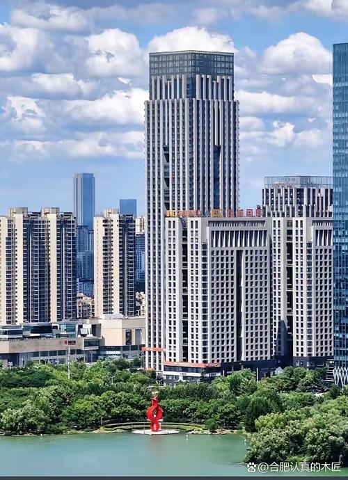 合肥并非唱高调,某些质疑存误读且不够客观,你怎么看?