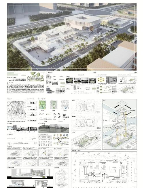 青岛设计院及美术大学介绍，涵盖市政、建筑、化工设计与多所院校专业