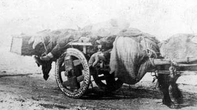 哈尔滨鼠疫：1910 年那场震惊中外致 6 万多人死亡的大瘟疫