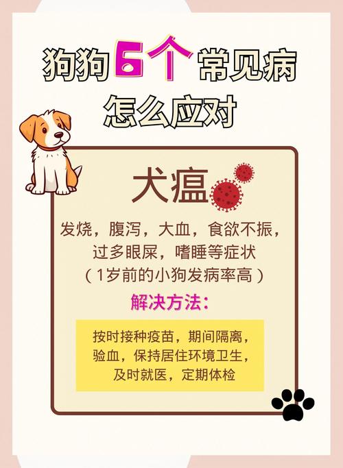 央视评隔离宠物狗被扑杀，疫情下如何保护好毛孩子？