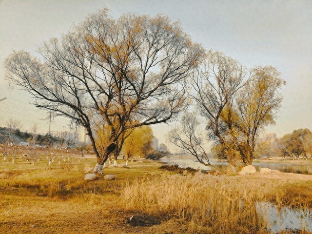 就像头条评论一样，原来这里面还藏着这么多隐藏的好处