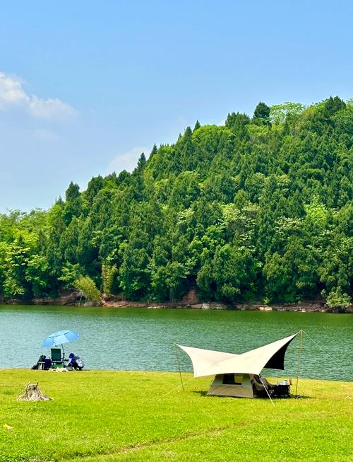 成都免费露营地点推荐，含市区及适合孩子的好去处